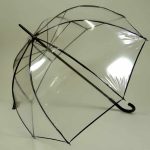 Guy de Jean Cloche noir