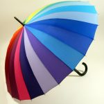 Guy de Jean Arc en ciel