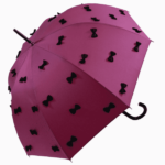 Guy de Jean Lolita prune